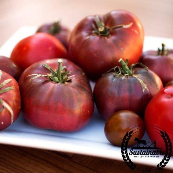 Organic Tomato Garden Seeds -Cherokee Purple | Non-GMO Tomato Seeds