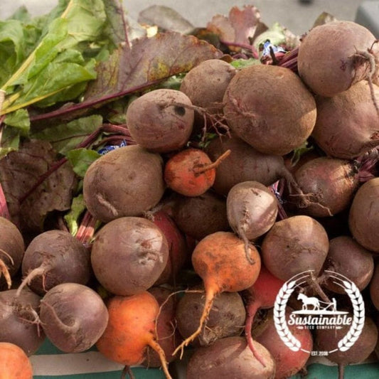 Organic Detroit Beet Garden Seed Mix | Non-GMO Red & Golden Beet Seeds