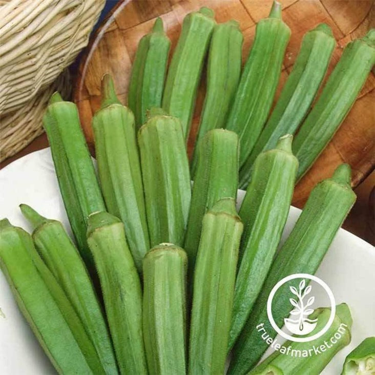 Clemson Spineless Okra Seeds - Heirloom, Non-GMO Vegetable Garden
