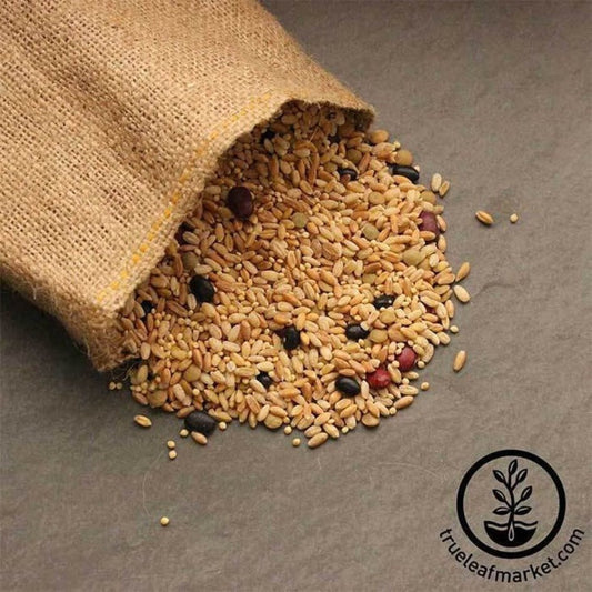 Organic Biblical Bread Grain Mix | Whole Grain Multi-Grain Bread