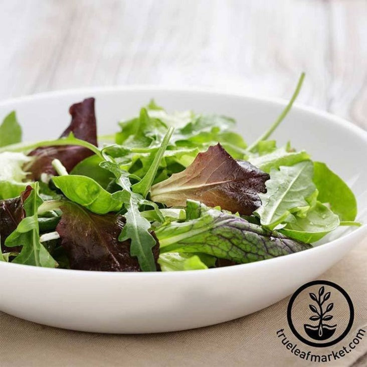 Mixed Greens Lettuce Seeds - Mesclun Mix | Heirloom Gardening Seeds