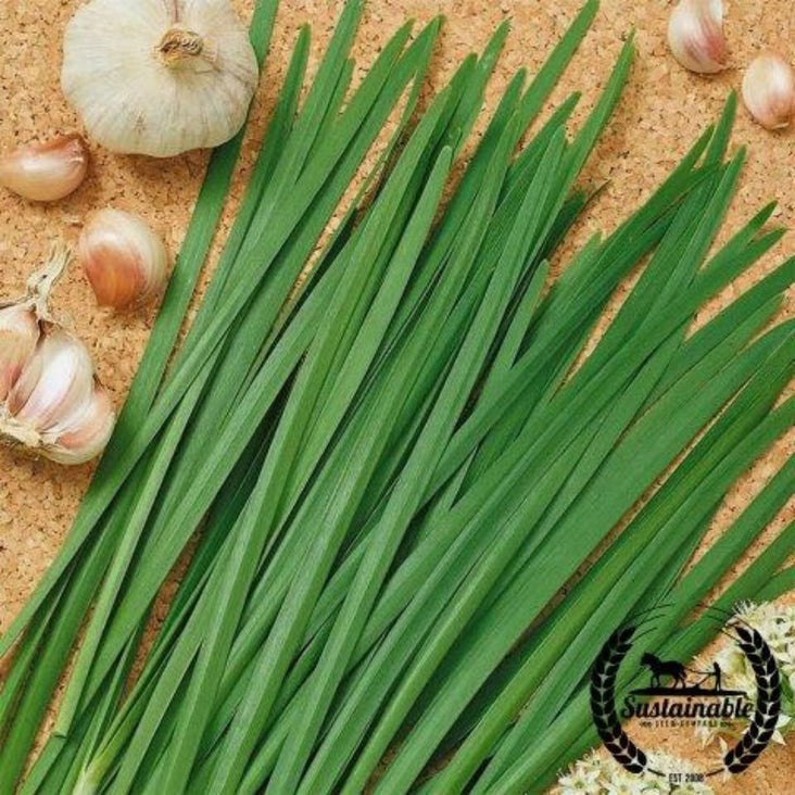 Non-GMO Organic Garlic Chives Seeds | Heirloom Herb & Gardening Seeds