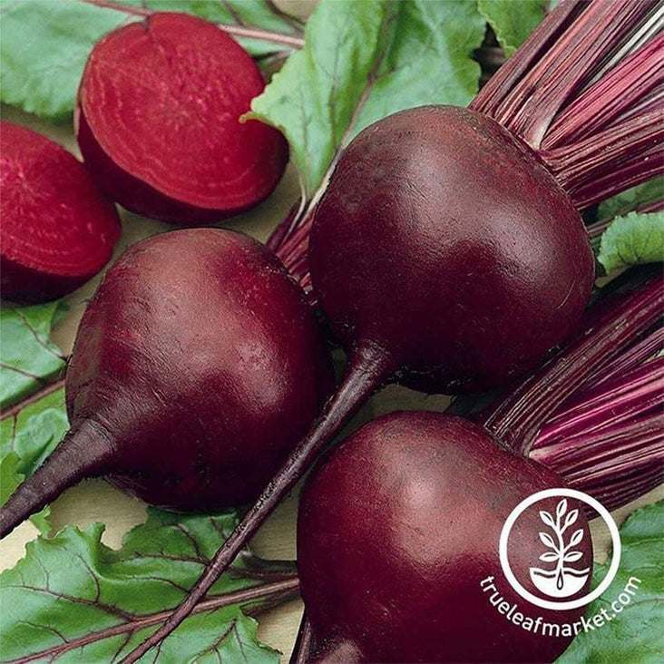 Detroit Dark Red Beet Seeds | Garden Vegetable Seed- Non-GMO, Heirloom