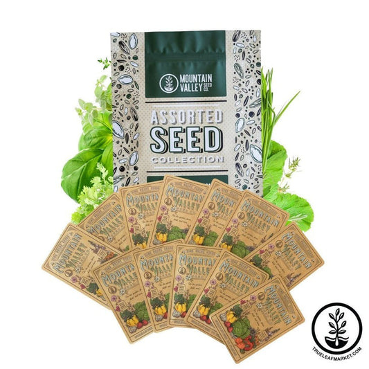 Culinary Herb Seed Assortment | Collection of 12 Packs of Herb Seeds