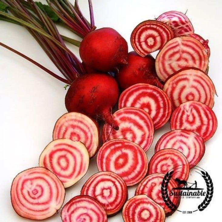 Organic Chioggia Beet Seeds | Heirloom, Non-GMO Vegetable Gardening