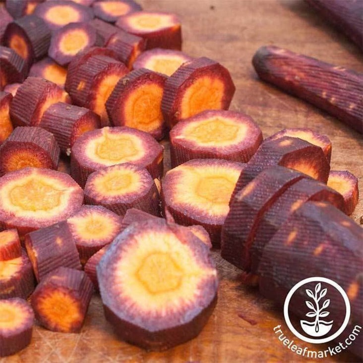 Carrot Seeds - Purple Haze Hybrid | Packet to Bulk Wholesale Seeds