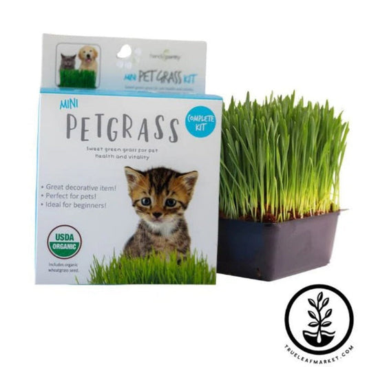 Organic Mini Pet Wheat Grass Kit - Pet Cats & Dogs Love Wheatgrass