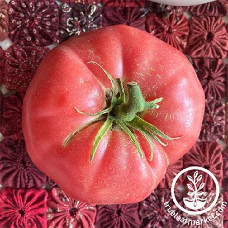 Heirloom Tomato Seeds - Brandywine Pink | Buy Non-GMO Vegetable Seeds