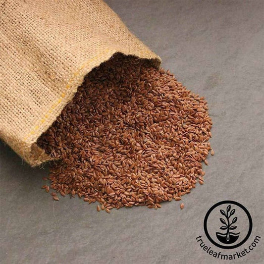 Organic Flax Seed | Canadian Brown Flax Seeds - Flaxseed