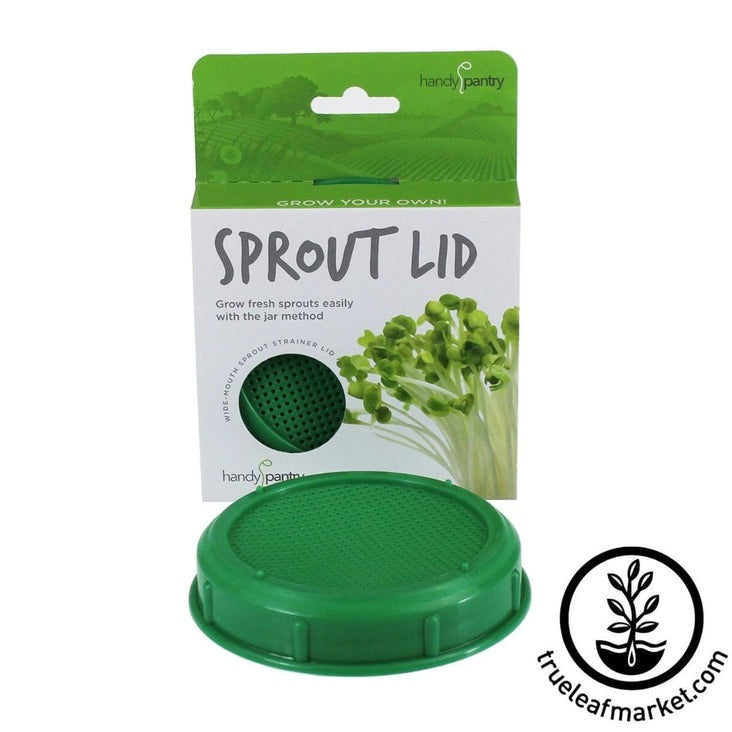 Sprout Lid: Sprouting Jar Strainer Lid for Sprouts by Handy Pantry