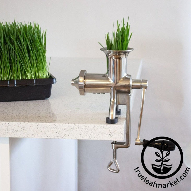 Hurricane Stainless Steel Manual Wheatgrass Juicer by Handy Pantry