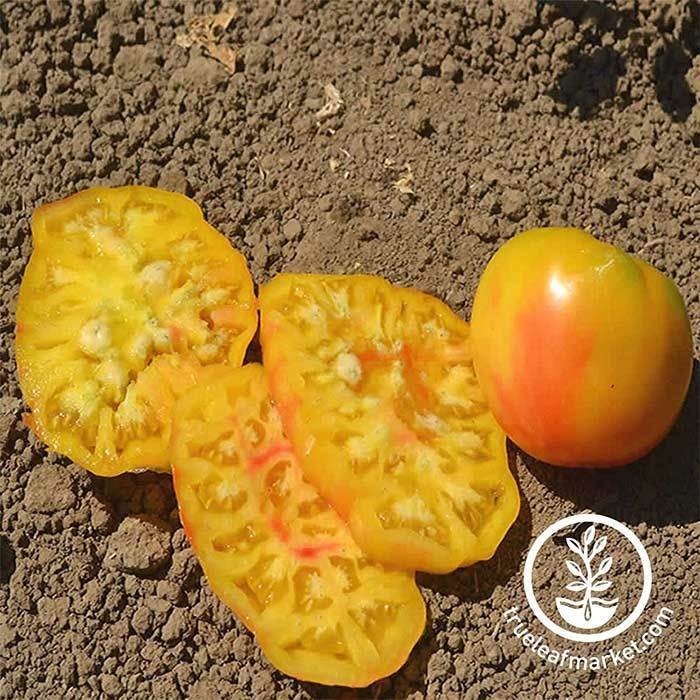 Tomato Slicing Mr. Stripey Seeds | Garden Seeds Online