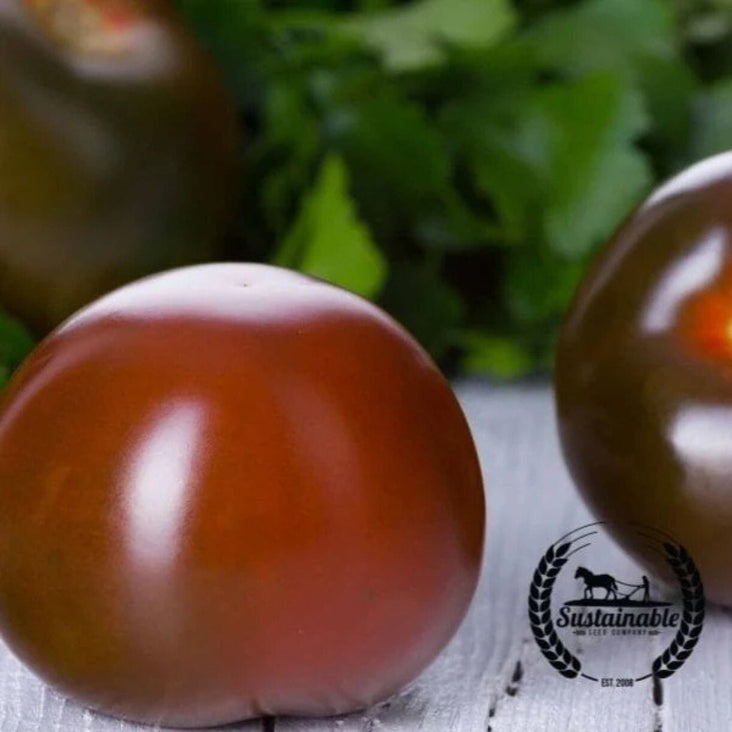 Organic Tomato Seeds - Black Cherry | Non-GMO Vegetable Garden Seeds