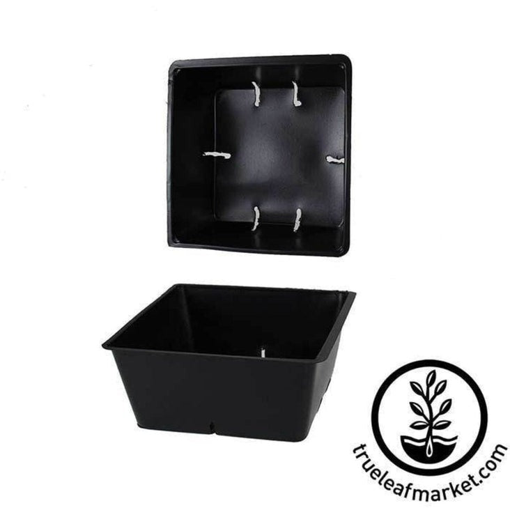 Small Garden Tray Inserts 5"x5" w/ Drain Holes - Nursery & Greenhouse
