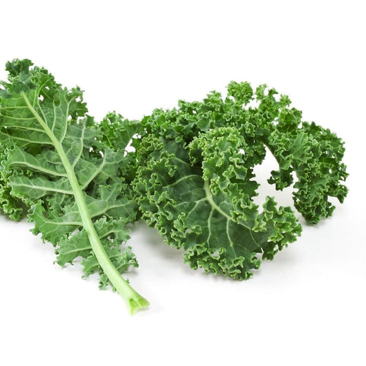 Organic Vates Blue Scotch Kale Garden Seeds | Buy Non-GMO, Heirloom