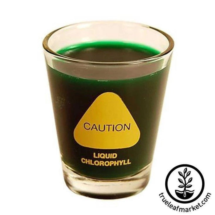 Humorous Wheatgrass Juice Shot Glass | "Caution Liquid Chlorophyll"