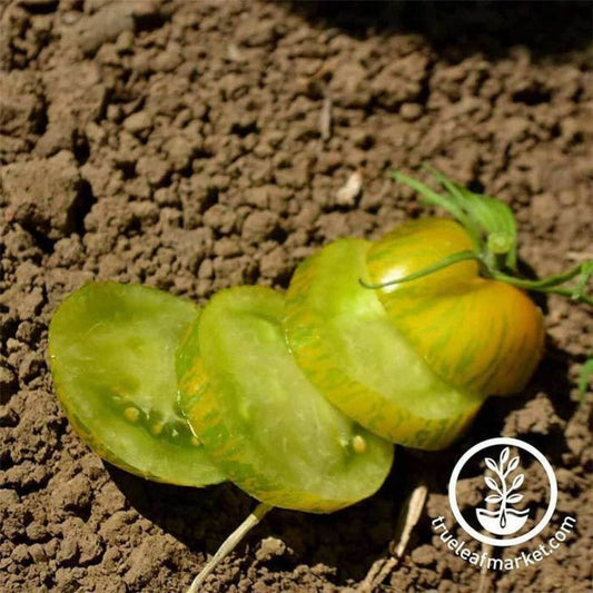 Organic Green Zebra Tomato Seeds | Garden Seeds Online