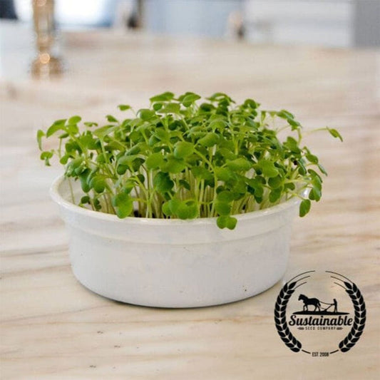 Organic Spicy Oriental Mustard Seeds | Non-GMO - Garden & Microgreens