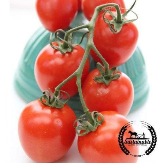 Non-GMO Roma Tomato Garden Seeds | Heirloom, Organic Gardening