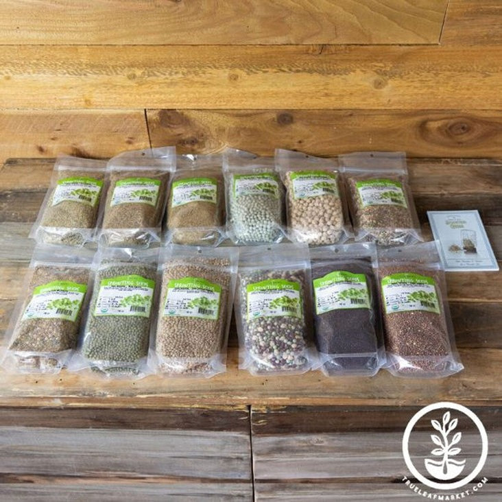 Beginners Dozen Sprout Seeds Assortment | Certified Organic Sprouting
