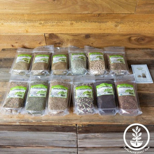 Beginners Dozen Sprout Seeds Assortment | Certified Organic Sprouting