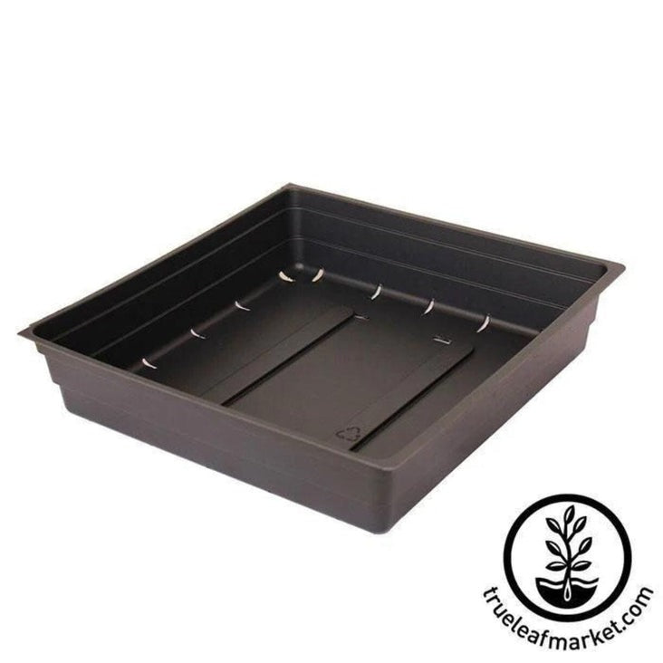 1010 Growing Trays With Drain Holes - Gardening Germination Trays