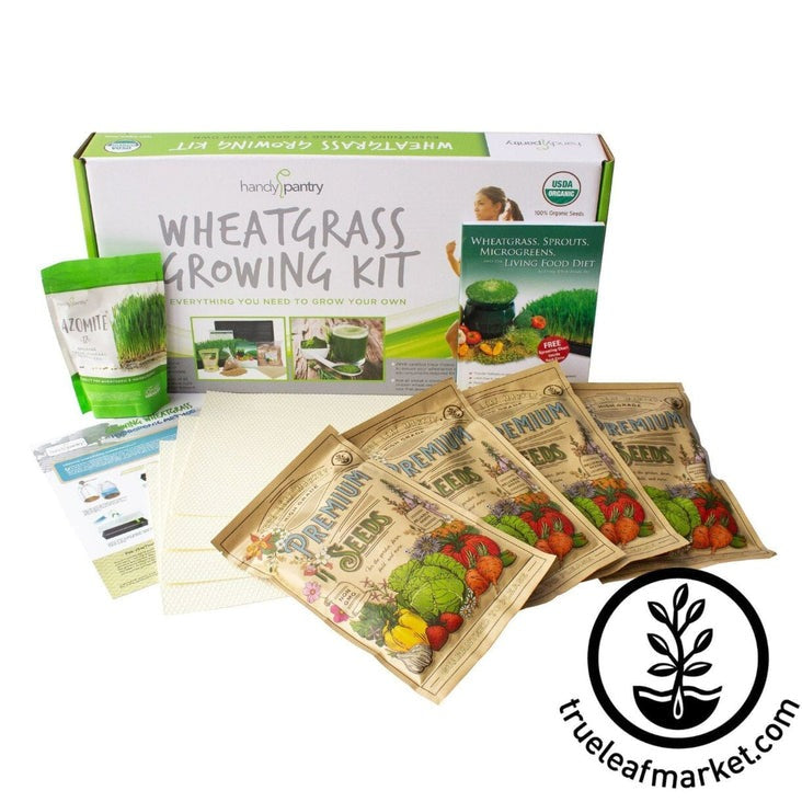 Hydroponics Wheatgrass Growing Kit | Soil Free Wheat Grass Kit