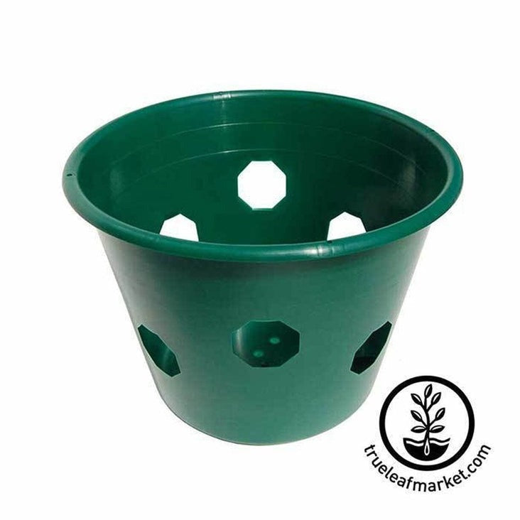 Bloom Master Hanging Flower and Vegetable Garden Basket | Bloommaster
