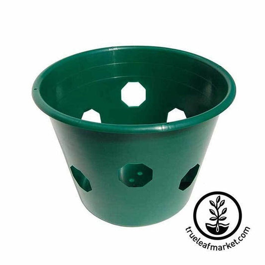 Bloom Master Hanging Flower and Vegetable Garden Basket | Bloommaster