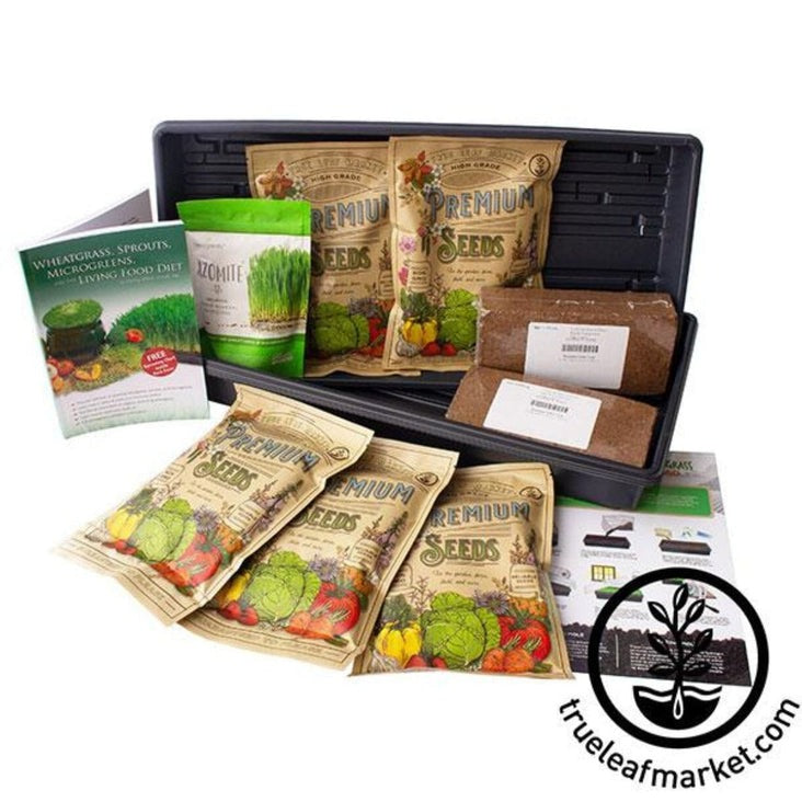Organic Wheatgrass Growing Kit - Grow & Juice Wheat Grass - Non-GMO