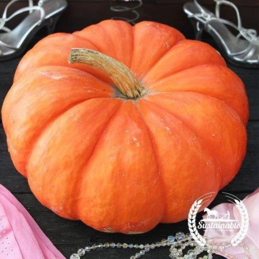 Organic Pumpkin Seeds - Cinderella | Non-GMO, Heirloom Garden Seeds
