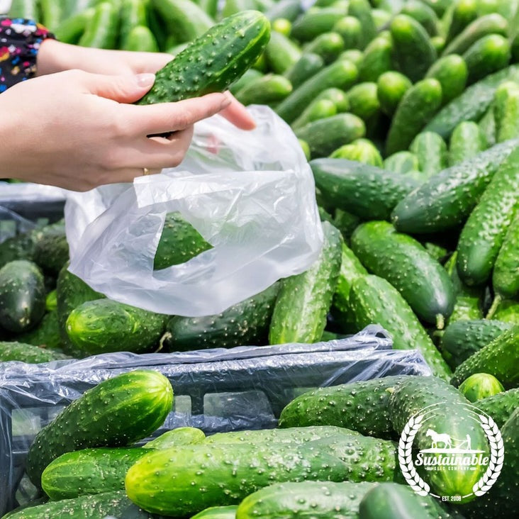 Marketmore 76 Cucumber Seeds | Heirloom, Non-GMO Vegetable Garden Seed
