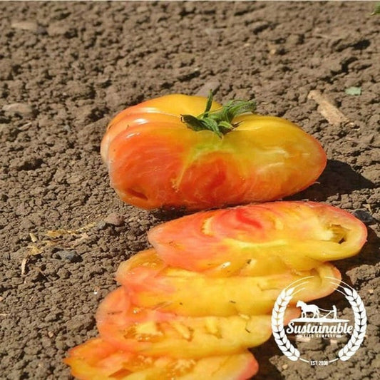 Organic Tomato Seeds - Hillbilly | Heirloom & Non-GMO - Vegetable Seed