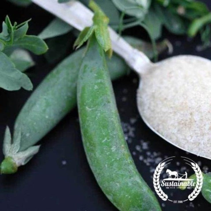 Organic Sugar Daddy Snap Peas: Garden Seeds by MVS
