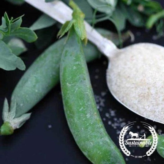 Organic Sugar Daddy Snap Peas: Garden Seeds by MVS