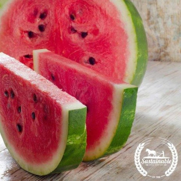 Organic Crimson Sweet Watermelon Seeds | Heirloom, Non-GMO - Free S&H