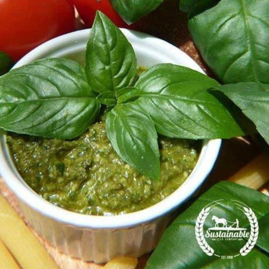 Non-GMO Basil Italian Large Leaf Seeds | Basil Italian Large Leaf Garden Seeds