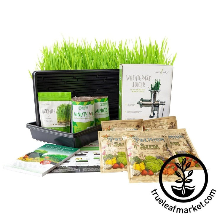 Wheat Grass Growing Kit + Hurricane Stainless Steel Wheatgrass Juicer