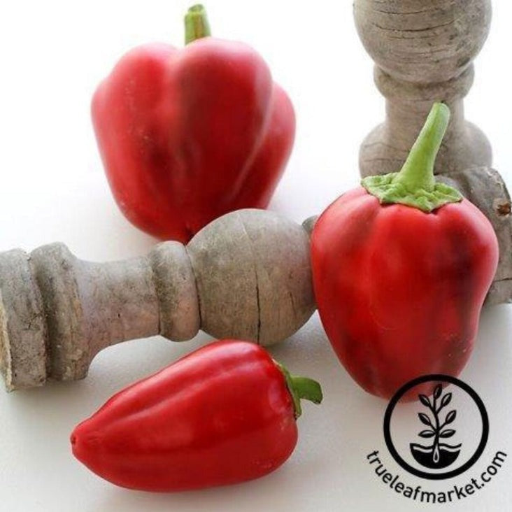 Heirloom Sweet Pepper Garden Seeds - Pimento L | Non-GMO - Free S&H