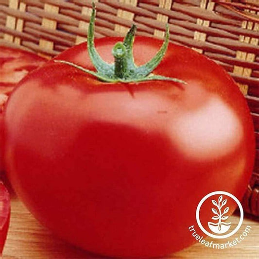 Heirloom Tomato Seeds - Delicious | Non-GMO Slicing Tomato Garden Seed