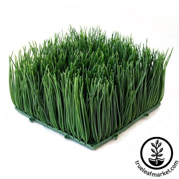 Decorative, Ornamental Wheat Grass- Fake Plastic Artificial Wheatgrass